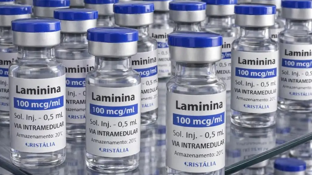 Testes em humanos com polilaminina começam dia 24; veja quem poderá participar