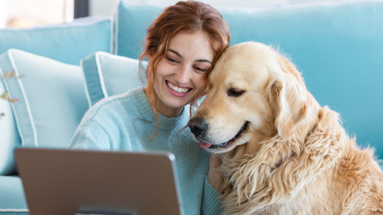 Seu cachorro sabe quando você está com medo? A ciência tem uma resposta