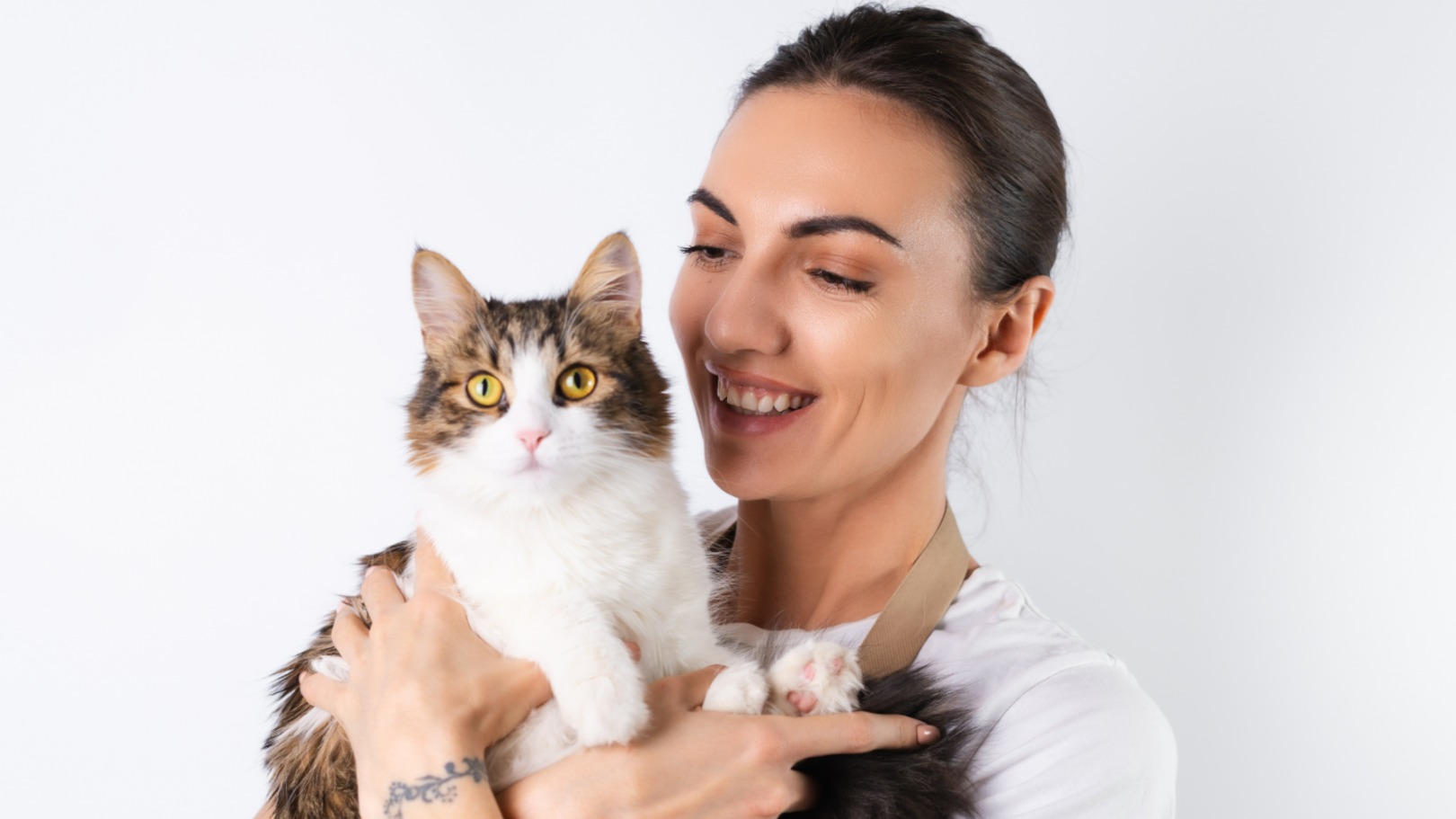 Gatos ganham espaço nas compras pet, e petiscos disparam; veja os números