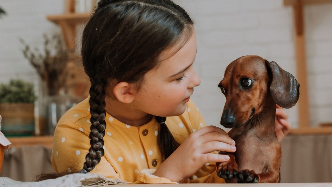 Crianças e pets: estudo aponta relação com linguagem e cooperação