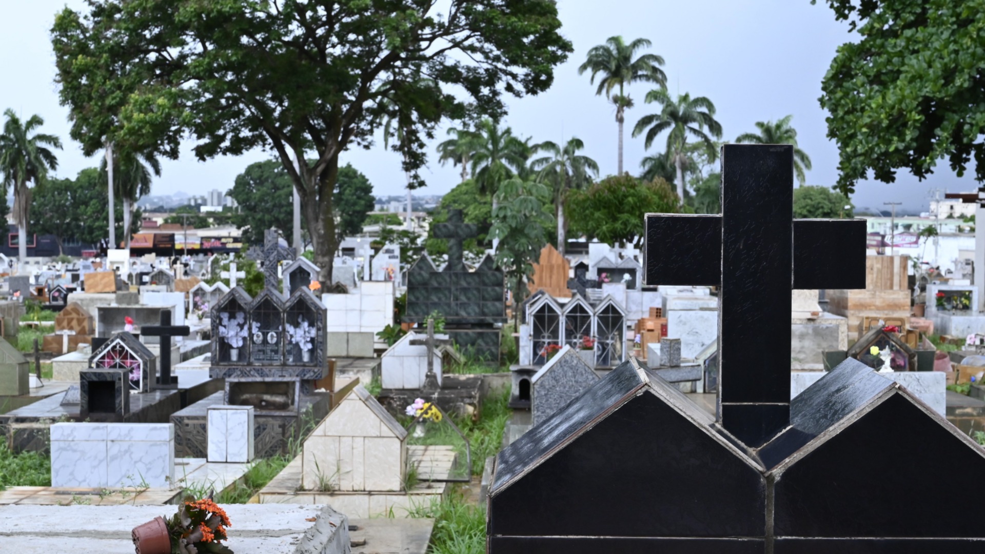 Morte em outra cidade: Aparecida de Goiânia vai oferecer serviços funerários de graça; veja quem tem direito