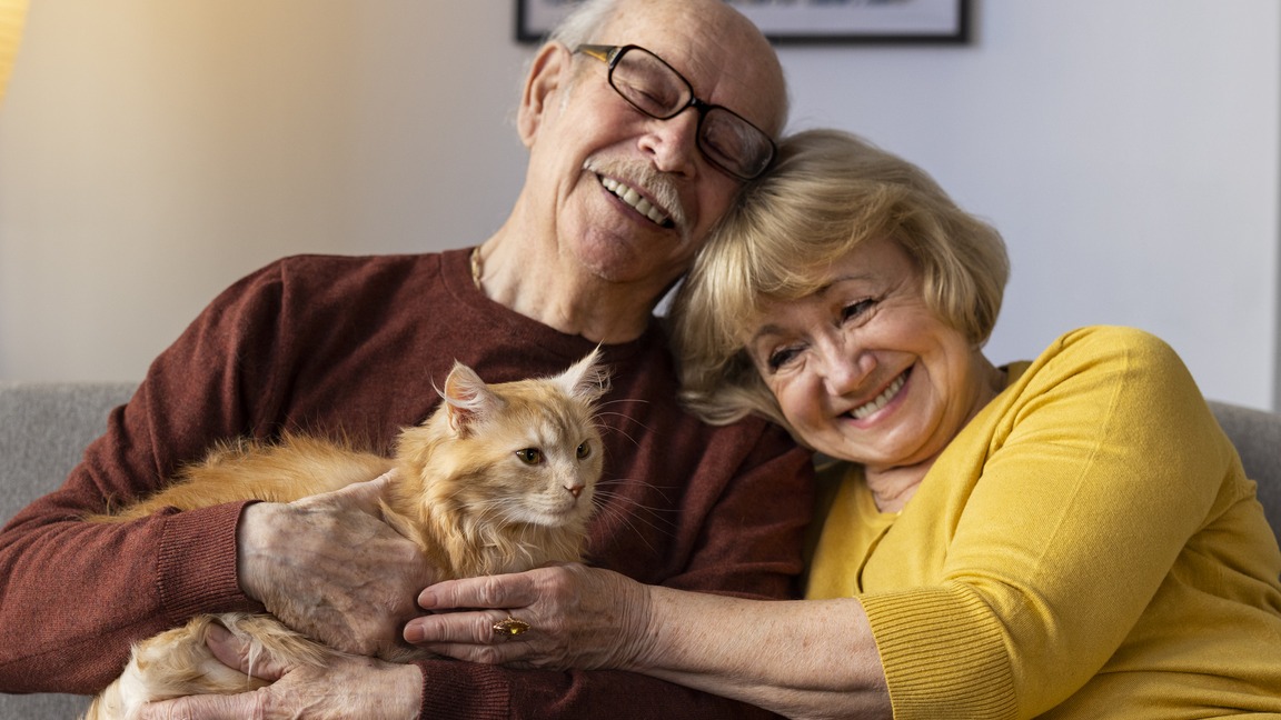 Companhia para passear e conversar: como os pets podem mudar a rotina dos idosos